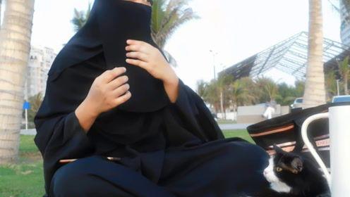 娱乐吃瓜君换头